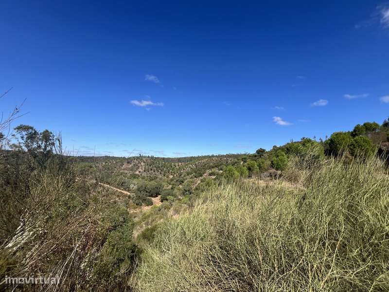 Terreno com 48ha de Natureza com Ruína de 53 m² – Ideal Projeto Rural-20