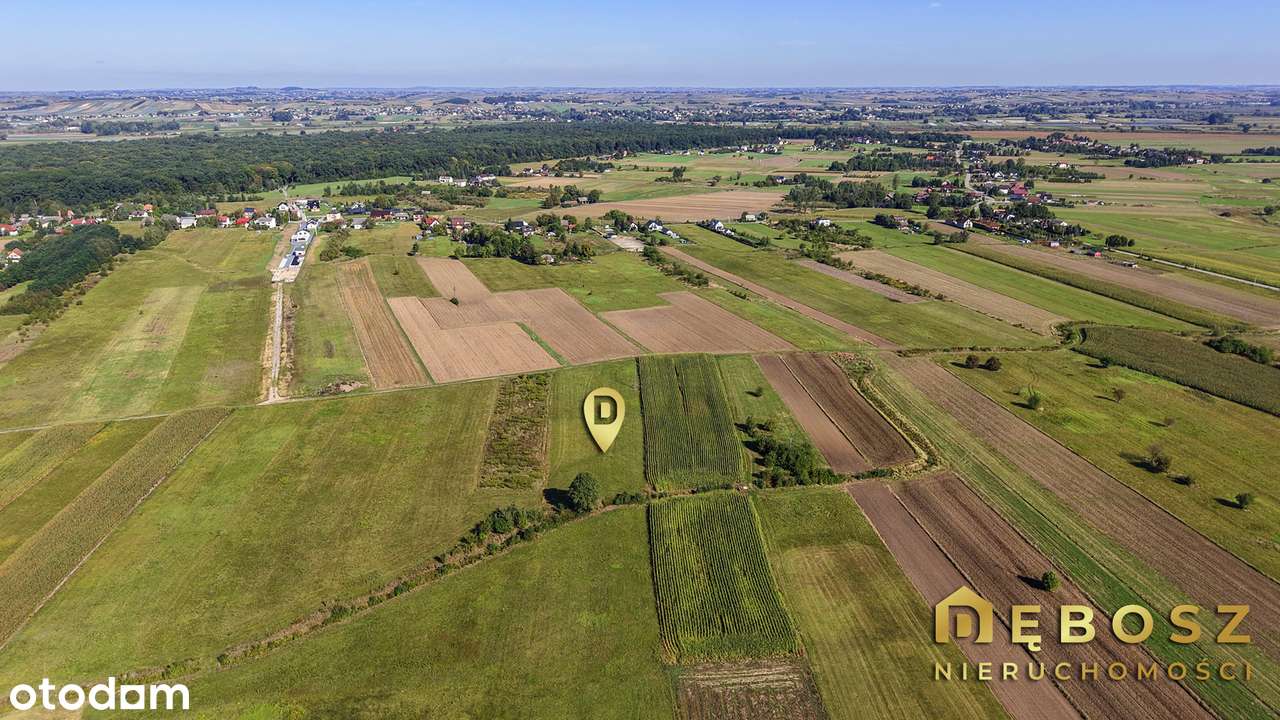 Zabierzów Bocheński | Duże działki rolne - 1.70 Ha / 179.000 zł - Pełny obrazek: 4/15