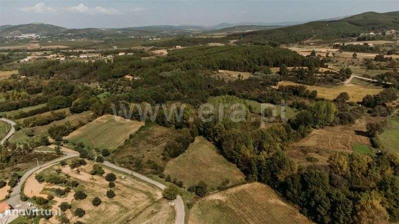 Terreno / Fundão, Enxames - Grande imagem: 2/7
