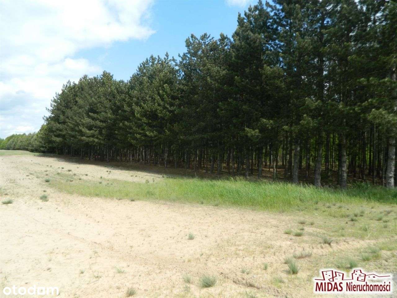 Działka, 32 000 m², Kowal - Pełny obrazek: 5/7