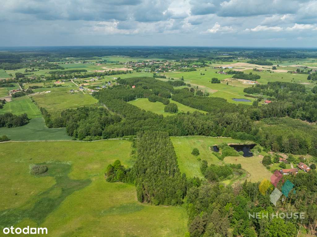 Działka z lasem 13 km od Olsztyna - Pełny obrazek: 5/9