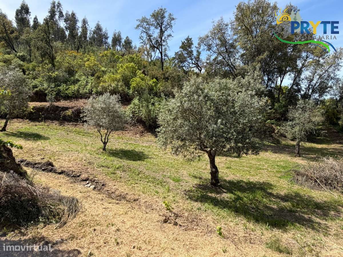 Terreno com uma ruína não registada a 6 quilómetros da Sertã-34