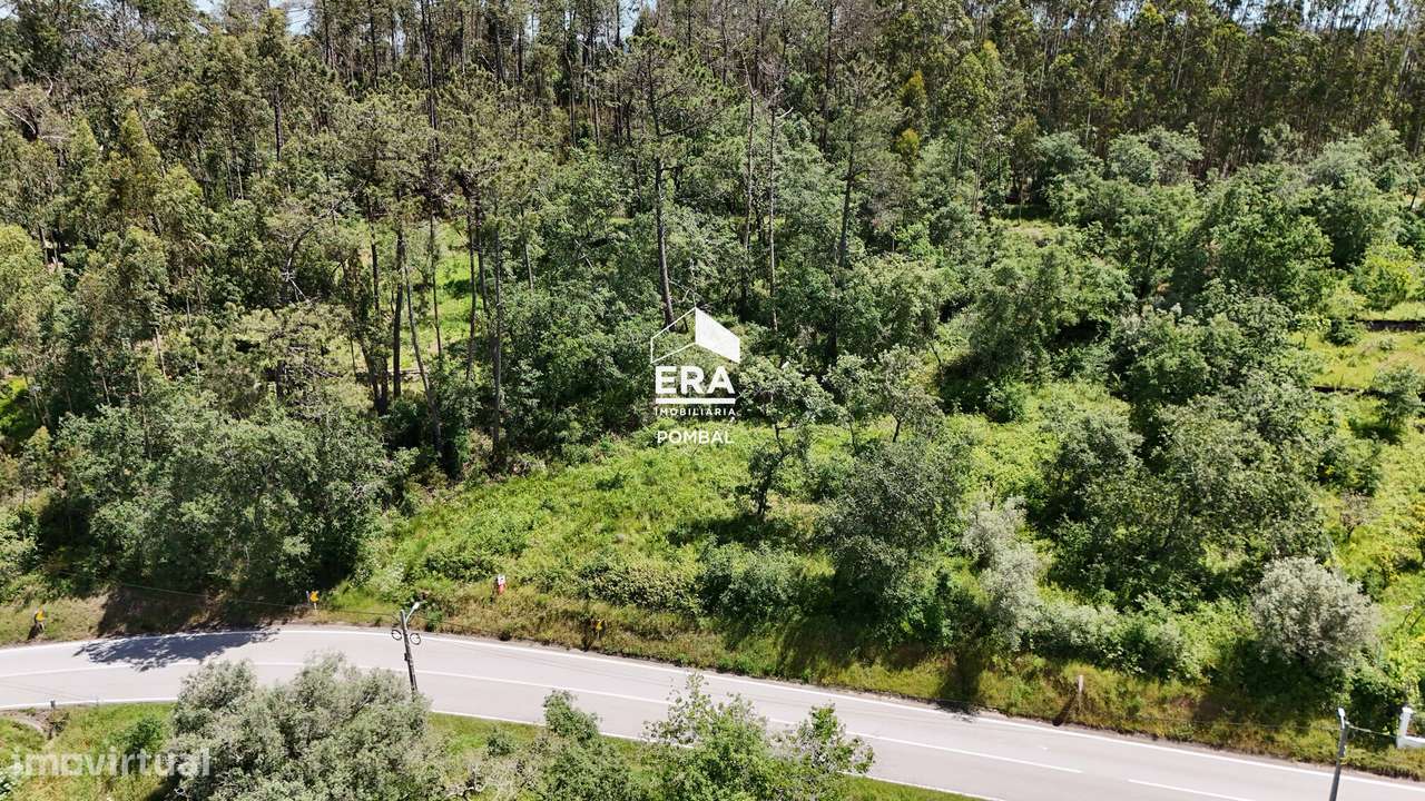 Terreno com 1636m2, Albergaria dos Doze - Grande imagem: 5/11