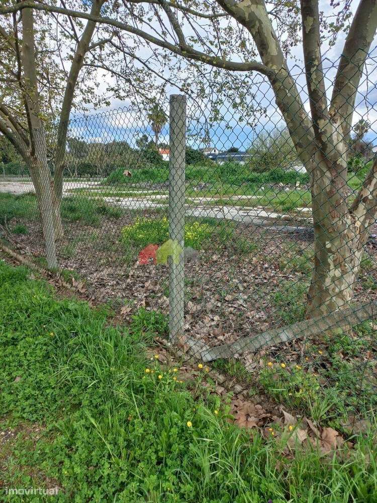 Terreno rústico com 8.396 m2, urbanizável, em Brejos do Assa, Palmela - Grande imagem: 4/9