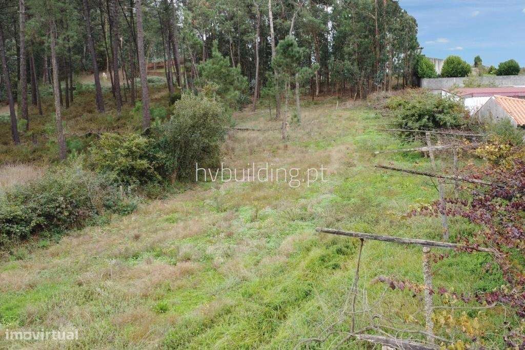 Terreno para construção com 1.565m2 em Cristelo, Barcelos - Grande imagem: 4/6