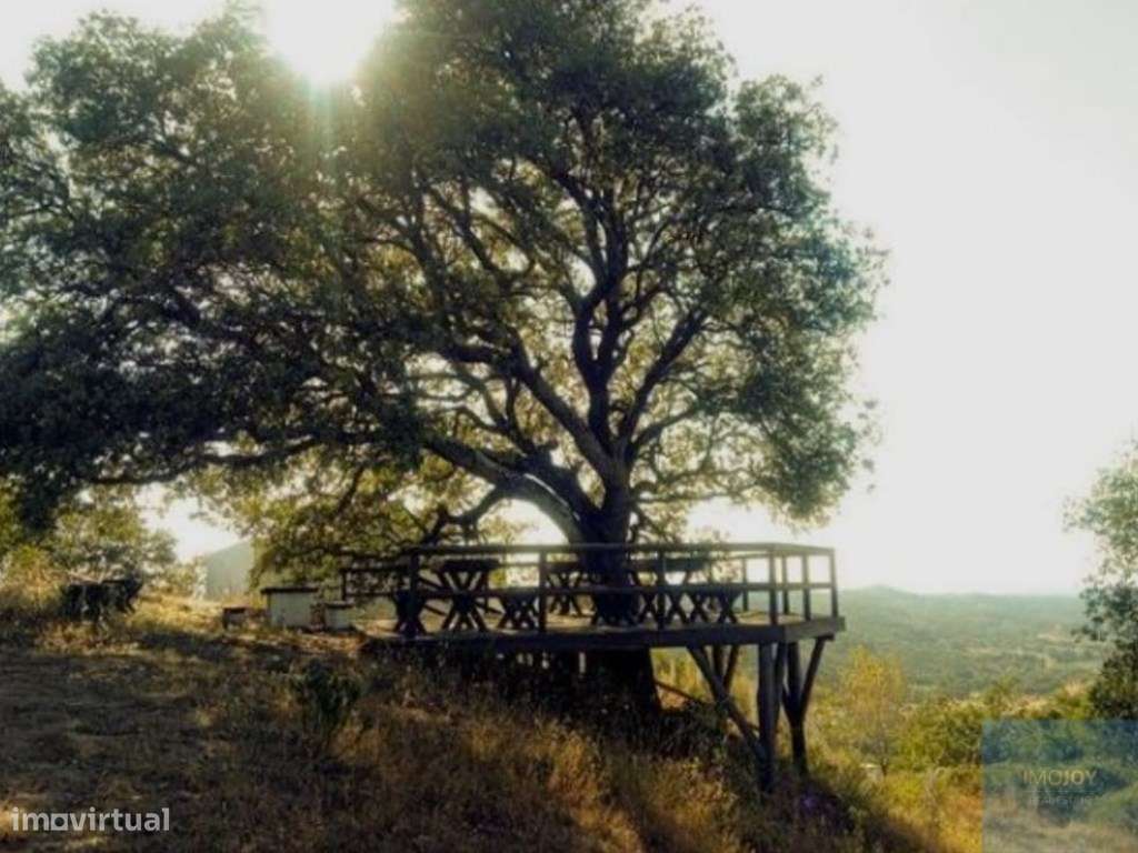 Terreno Rustico no Cercal - Grande imagem: 4/16