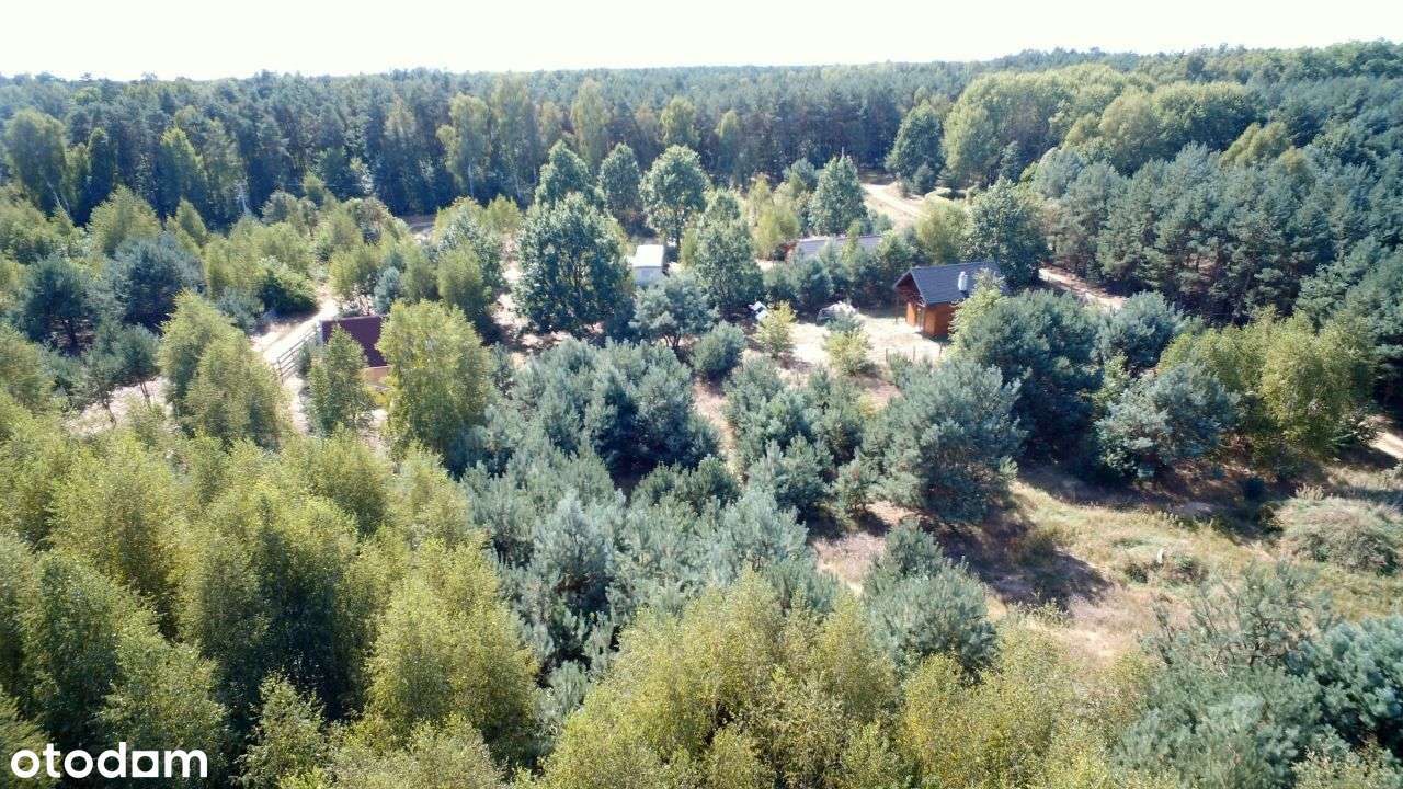 Osada "7 dębów" koło Nowego Miasta-5