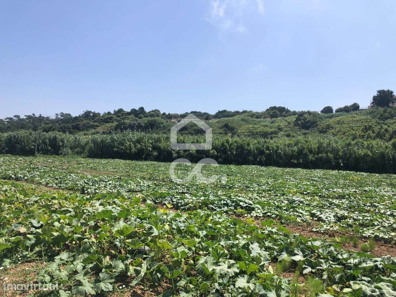 Excelente terreno agrícola com 4760 m2 - Grande imagem: 5/6
