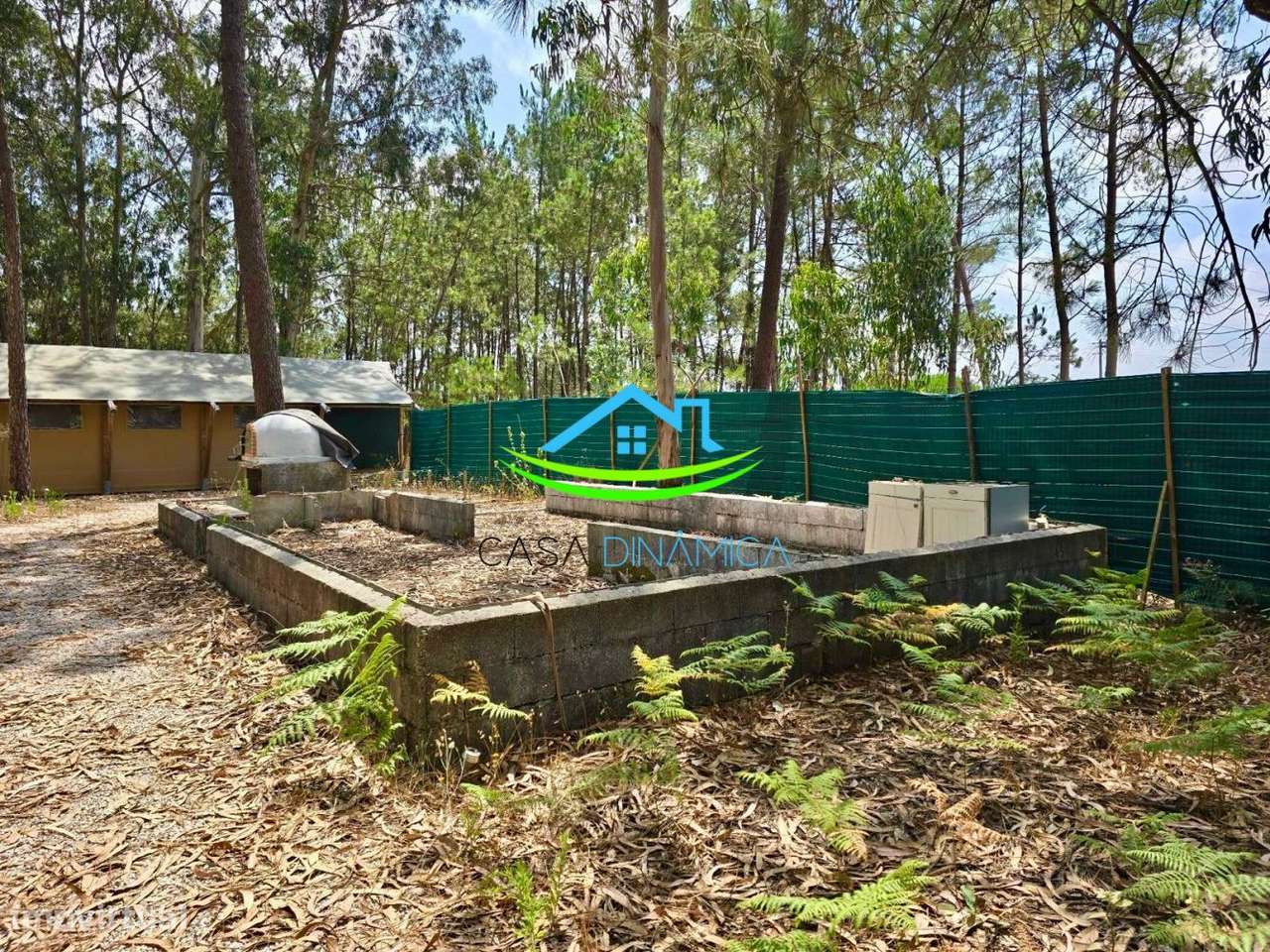 Terreno com 8.369 m² e possibilidade de construção – Arazede, Mon-13
