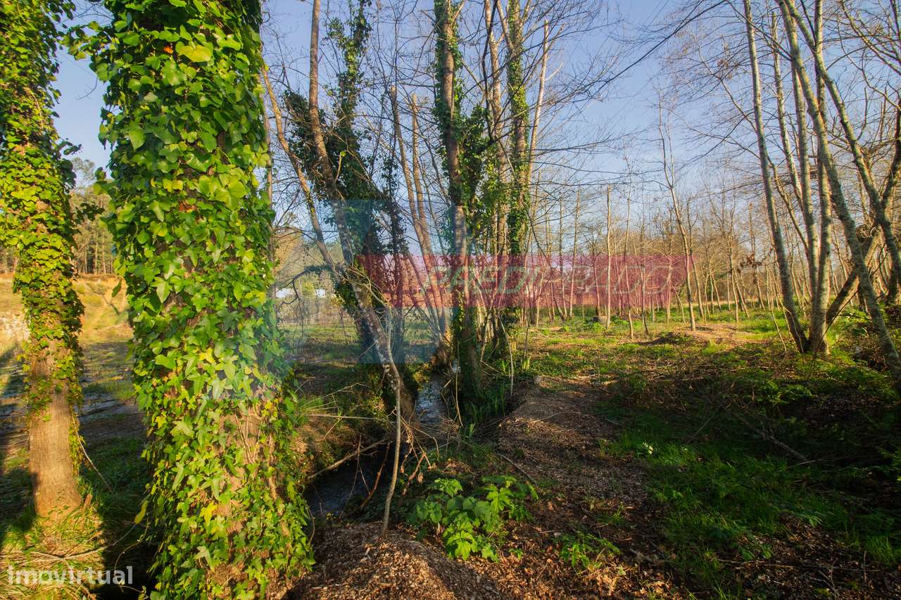 Terreno Agrícola em Escariz S. Mamede-6