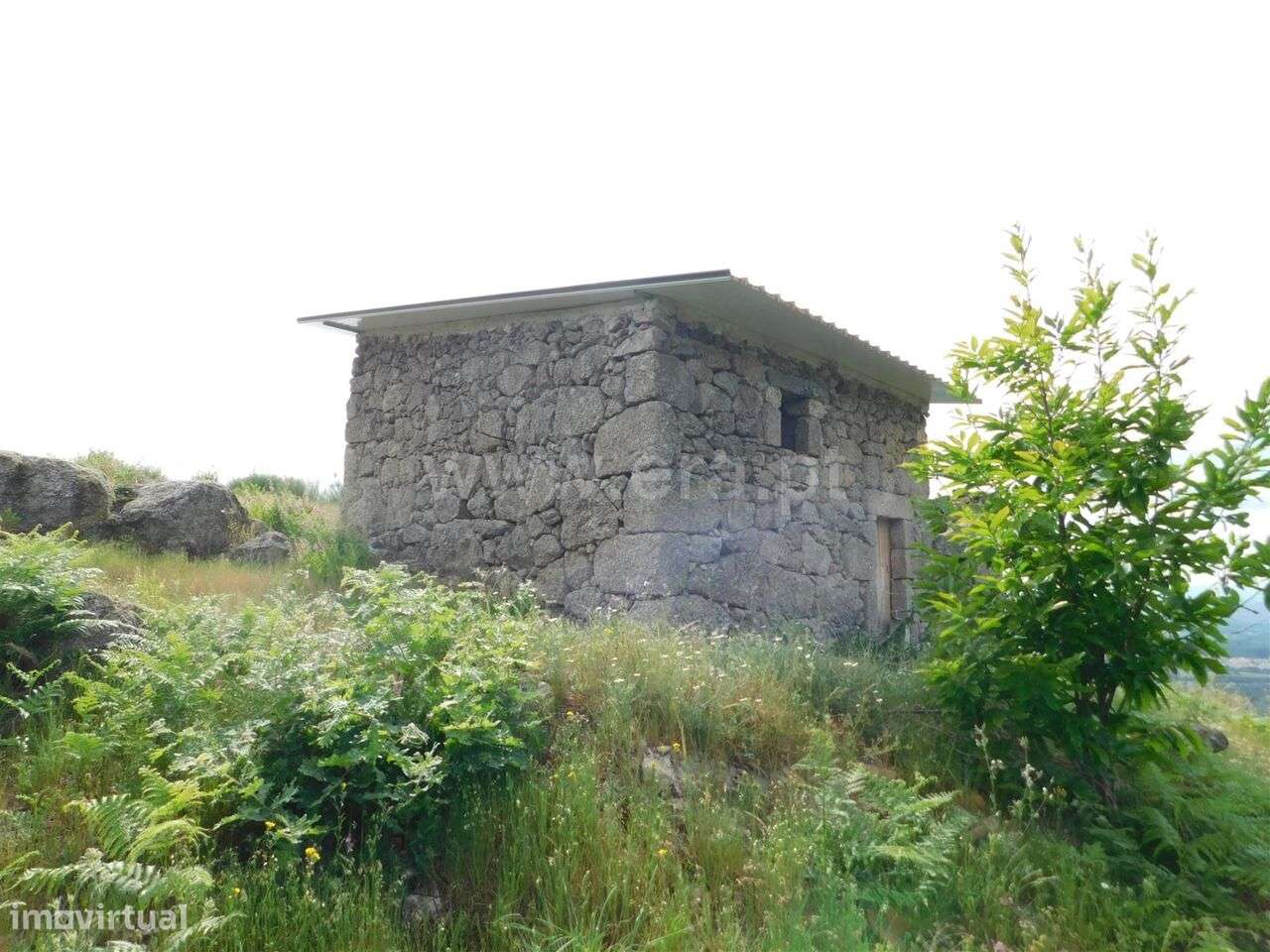 Quintinha / Seia, Santa Marinha e São Martinho - Grande imagem: 5/20