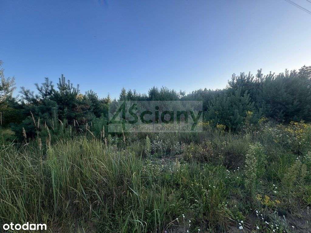 Atrakcyjna działka w Wieliszewie - Pełny obrazek: 4/8