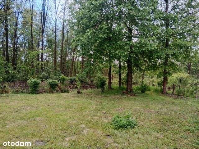 Dwa domy na dużej działce – Zaróg - Koniecpol-4