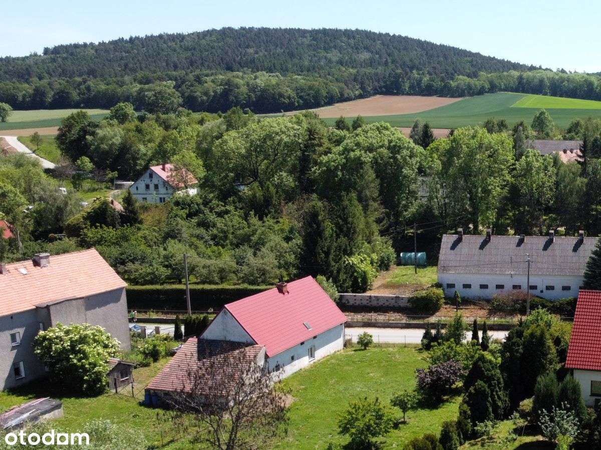 Dom do generalnego remontu z dużą działką-6
