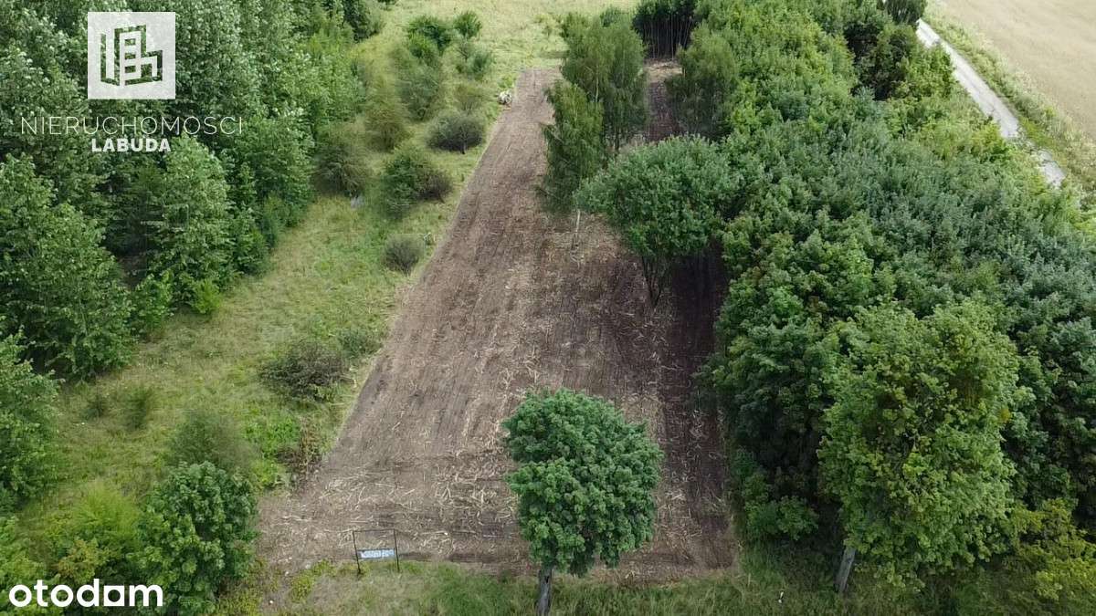 Działka pod dom i usługi – 2 004 m² | Skarszewy - Pełny obrazek: 2/7