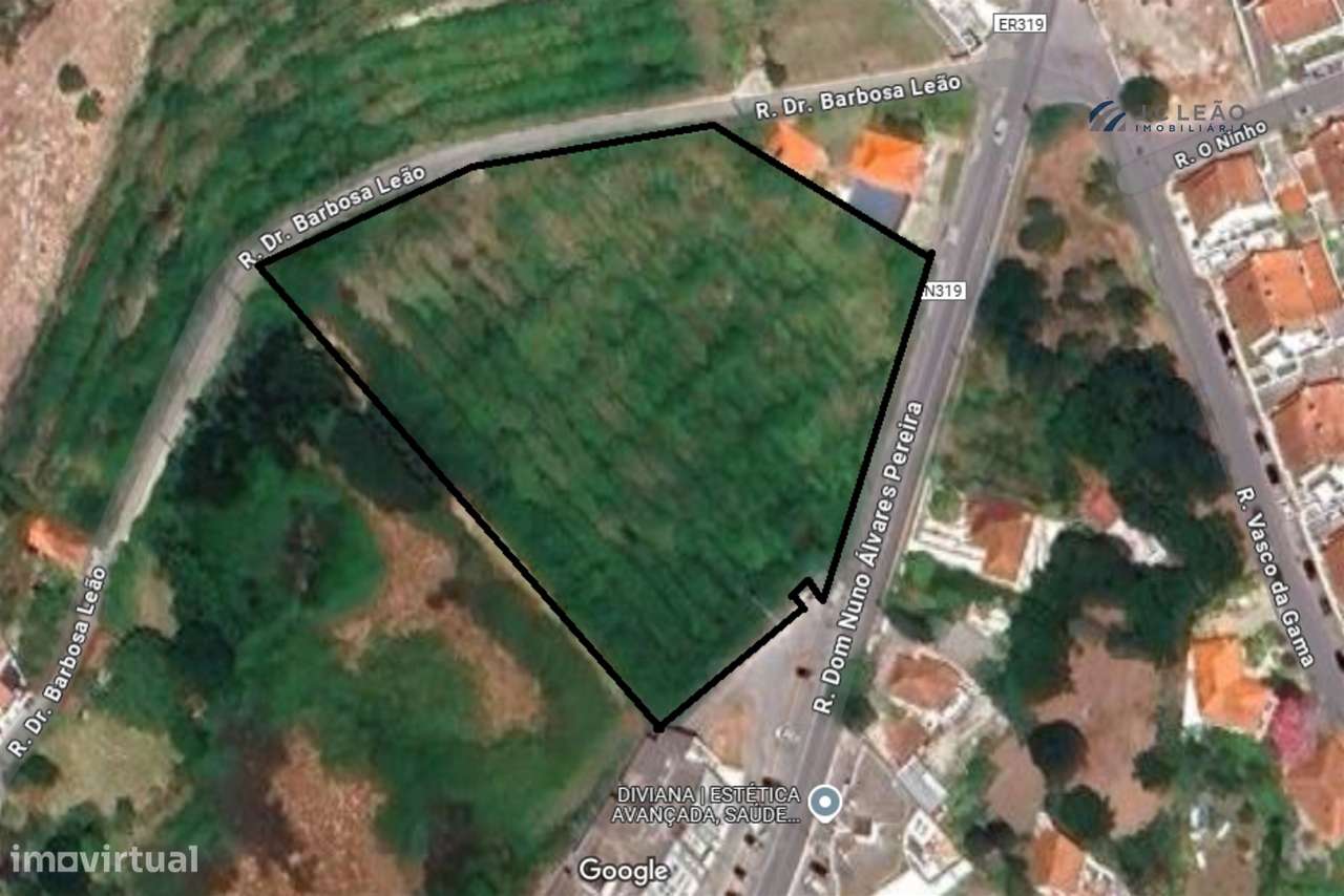 Terreno Rustico c/ 7969m2, para construção no Centro de Baltar - Grande imagem: 2/20