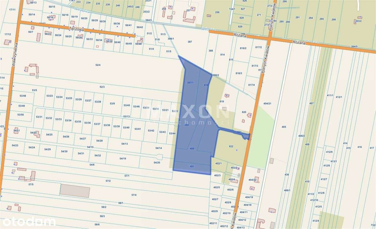 ❗❕ Grunt Inwestycyjny - Celinów 2,67 ha ❕❗ - Pełny obrazek: 4/6