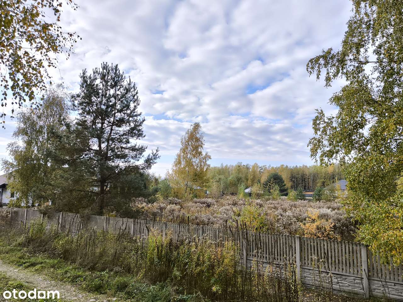 OGRODZONA działka budowlana 1300 m2 BEZPOŚREDNIO media - Pełny obrazek: 5/6