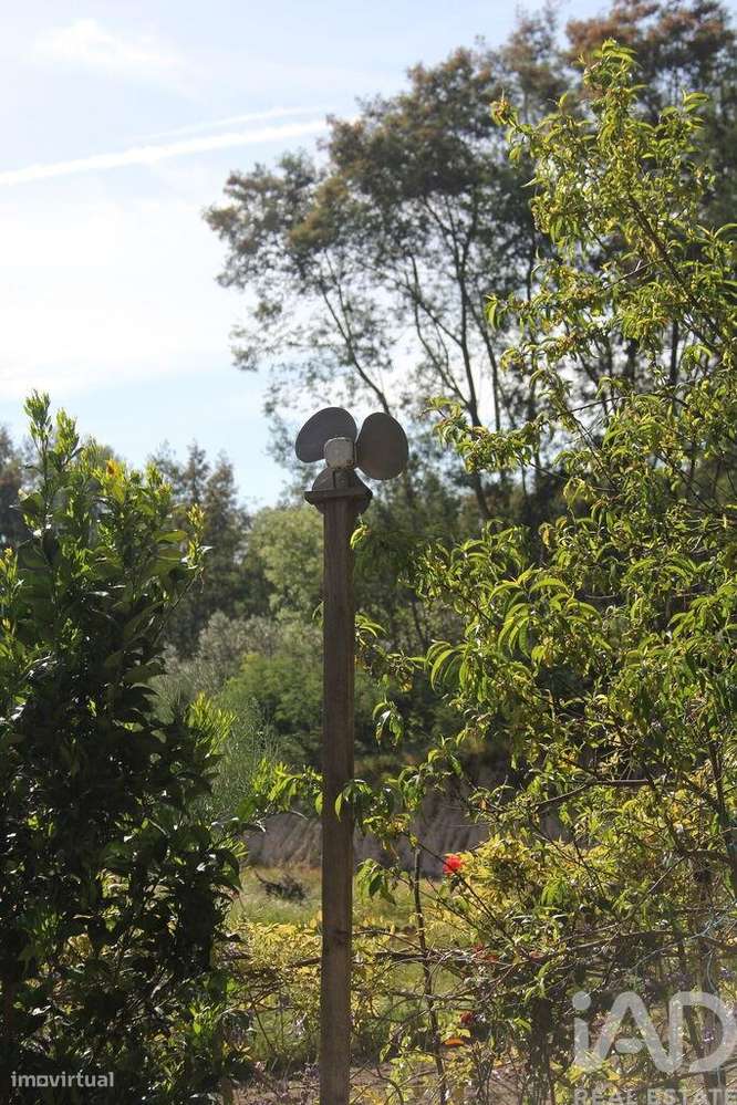 Terreno Agrícola em Oliveira do Hospital e São Paio de Gramaços-32