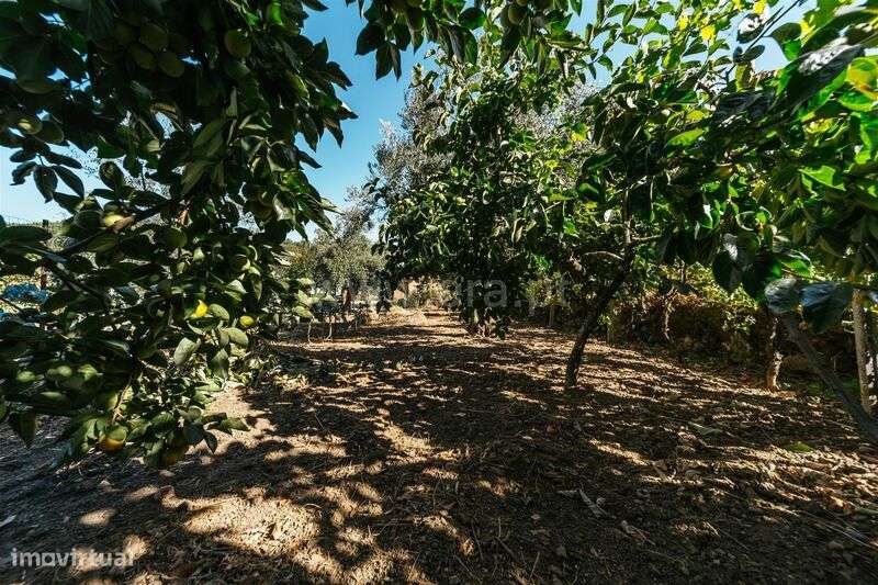 Moradia em Banda T2 / Covilhã, Casegas - Grande imagem: 5/14