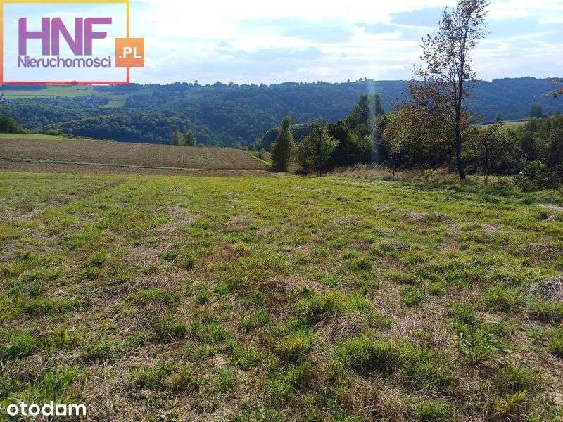 widokowa działka budowlana w Jańczowej 25ar - Pełny obrazek: 5/11