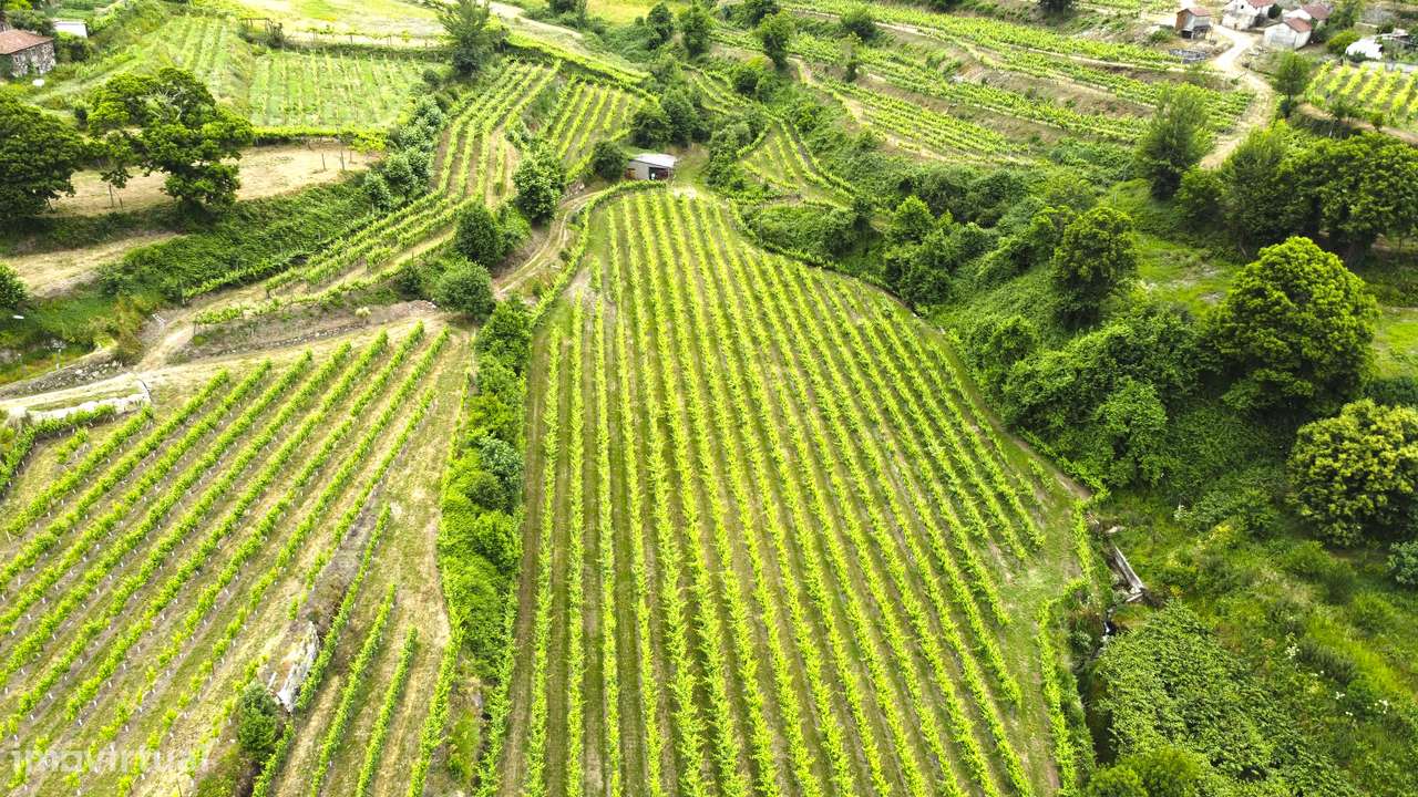 Quinta Eira Vedra Lixa - Grande imagem: 4/51