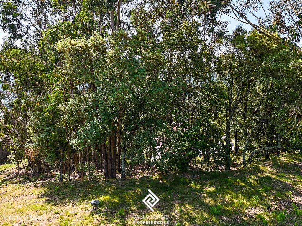 Amplo terreno na Póvoa de Lanhoso com vista panorâmica para o Caste... - Grande imagem: 5/9