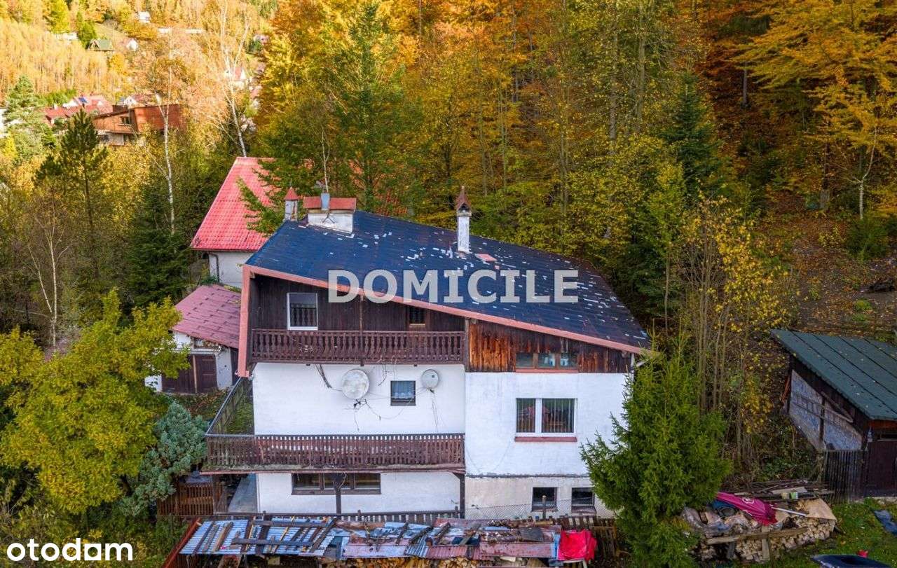 Dom w górach otoczony lasem - Pełny obrazek: 4/20