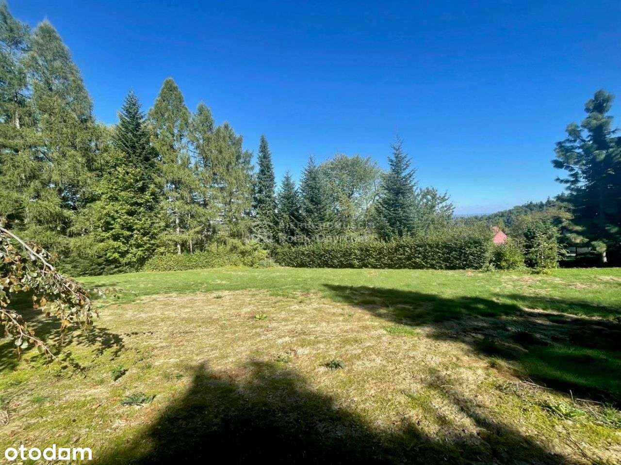 Pięknie, cicho, zielono-1