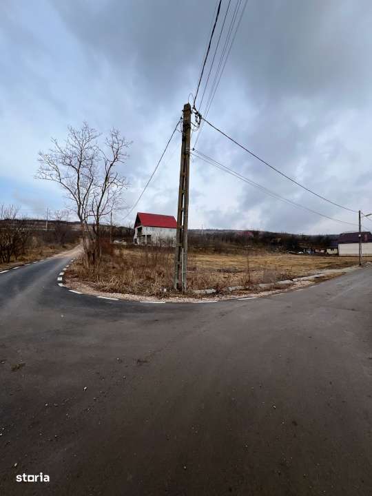 Teren Rascruci, 1250mp, front la 2 strazi 50m si 30m - Imagine principală: 3/6