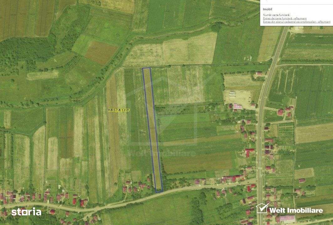 Teren 6200 mp, Fundatura, ferit de drumul principal - Imagine principală: 1/3