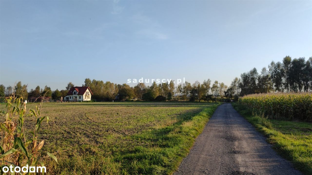 Działka, 2 500 m², Wołowice