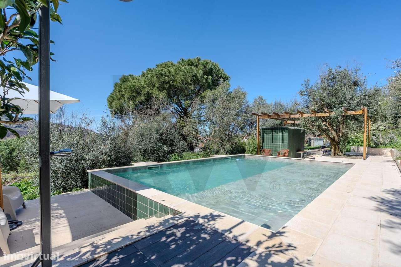 O Último Tesouro de Castelo de Vide - Grande imagem: 5/60