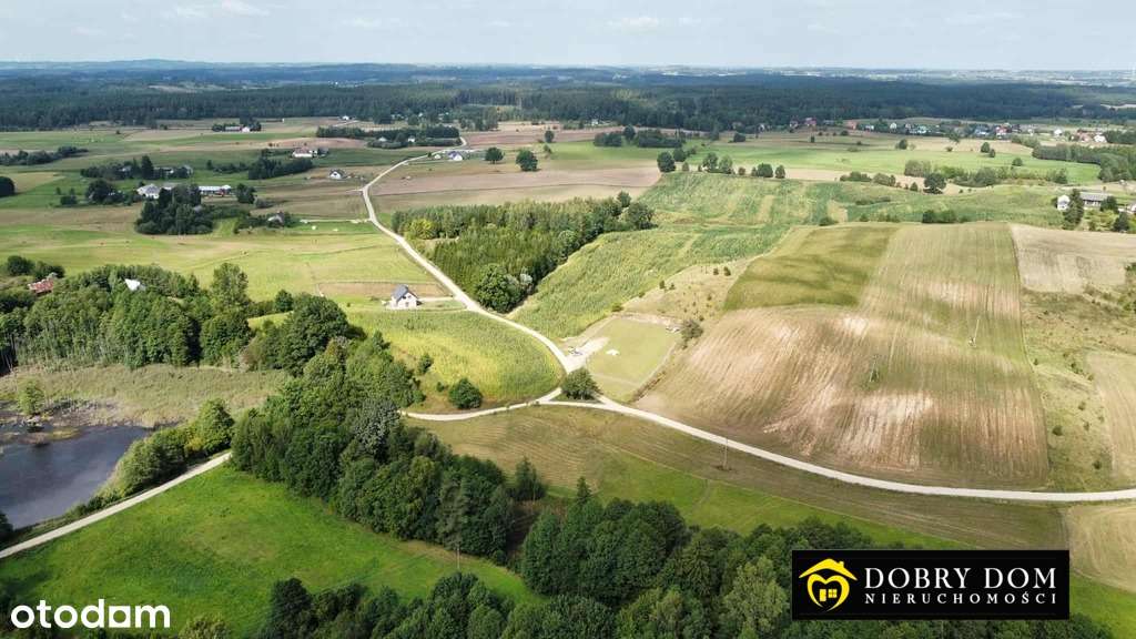 Duża Działka/Suwalszczyzna/Okazja! - Pełny obrazek: 4/9