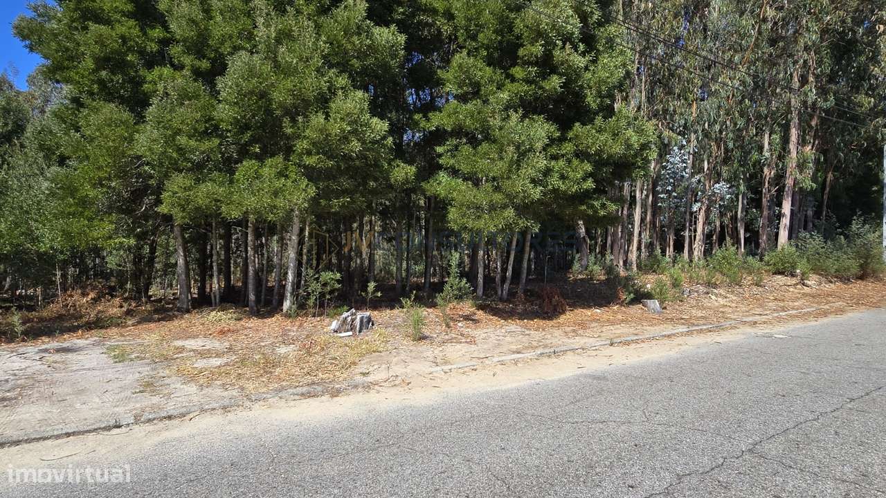 Terreno Para Construção  Venda em Beduído e Veiros,Estarreja-9