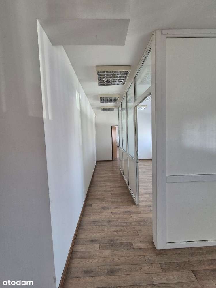 Przestronny Lokal Usługowo-Magazynowy na Trasie E7 - Pełny obrazek: 5/14