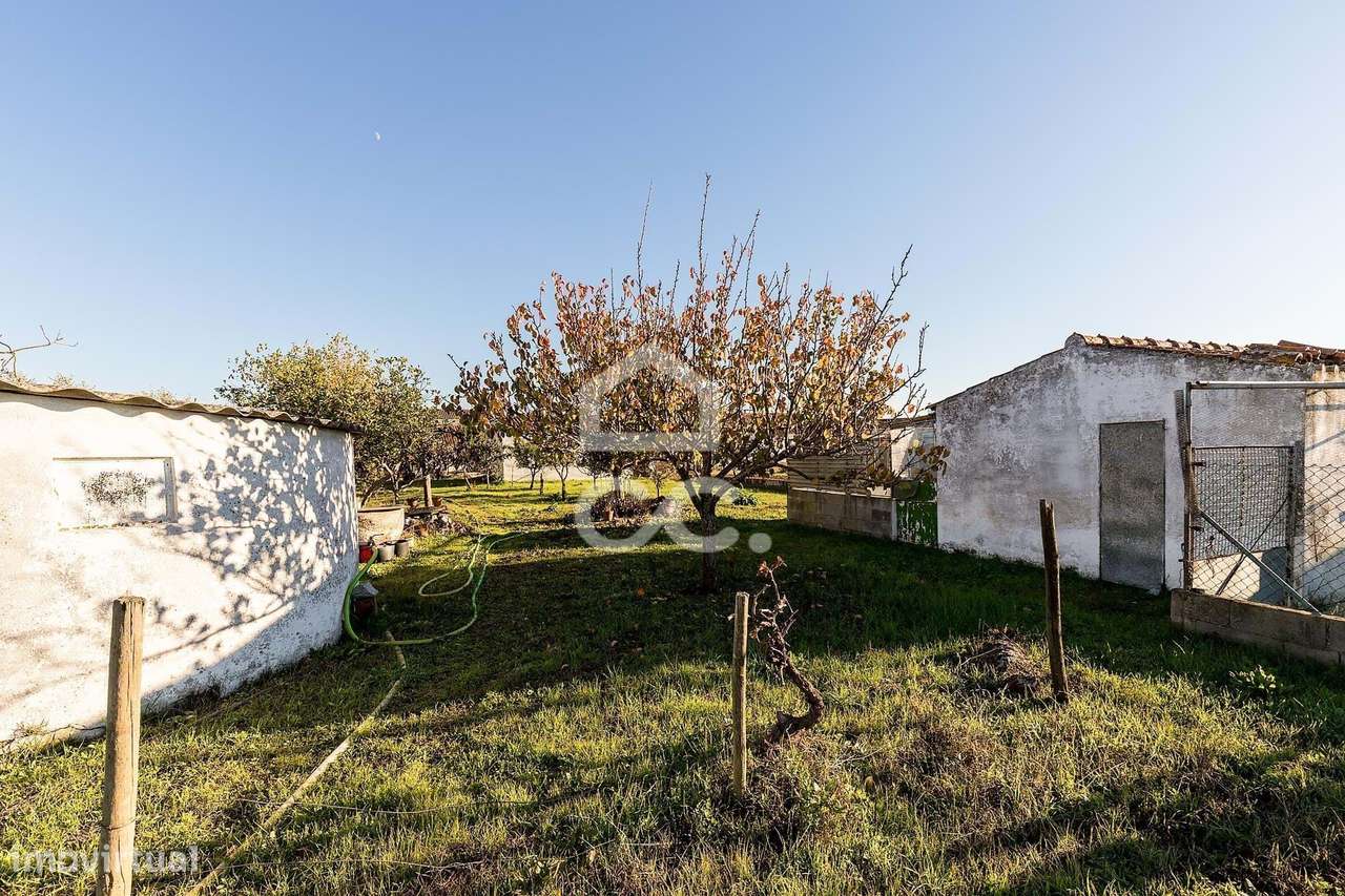 Terreno de  1.350 m² c/ Anexo de Apoio Agrícola | Canaviais, Évora-18