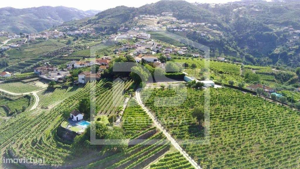 Douro Vinhateiro, Quinta Turística-54
