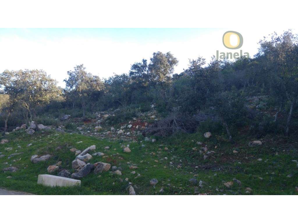 Terreno Rústico com 10.800 m2, com bons acessos - Grande imagem: 2/4