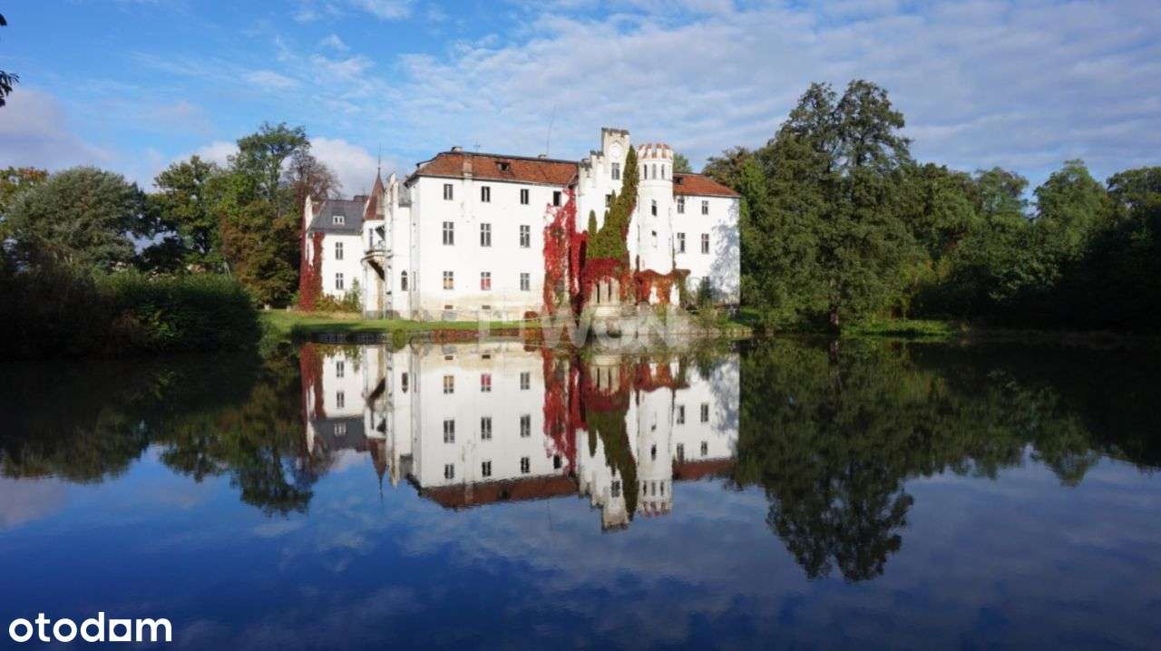20ha Unikat -Pałac 3'500m2 z pięknym jeziorem 7ha - Pełny obrazek: 1/20