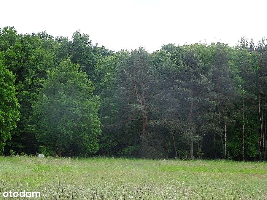 Ligota Wielka , 135m2 , 4 pokoje , 2 łazi, GARAŻ OGRÓD-14