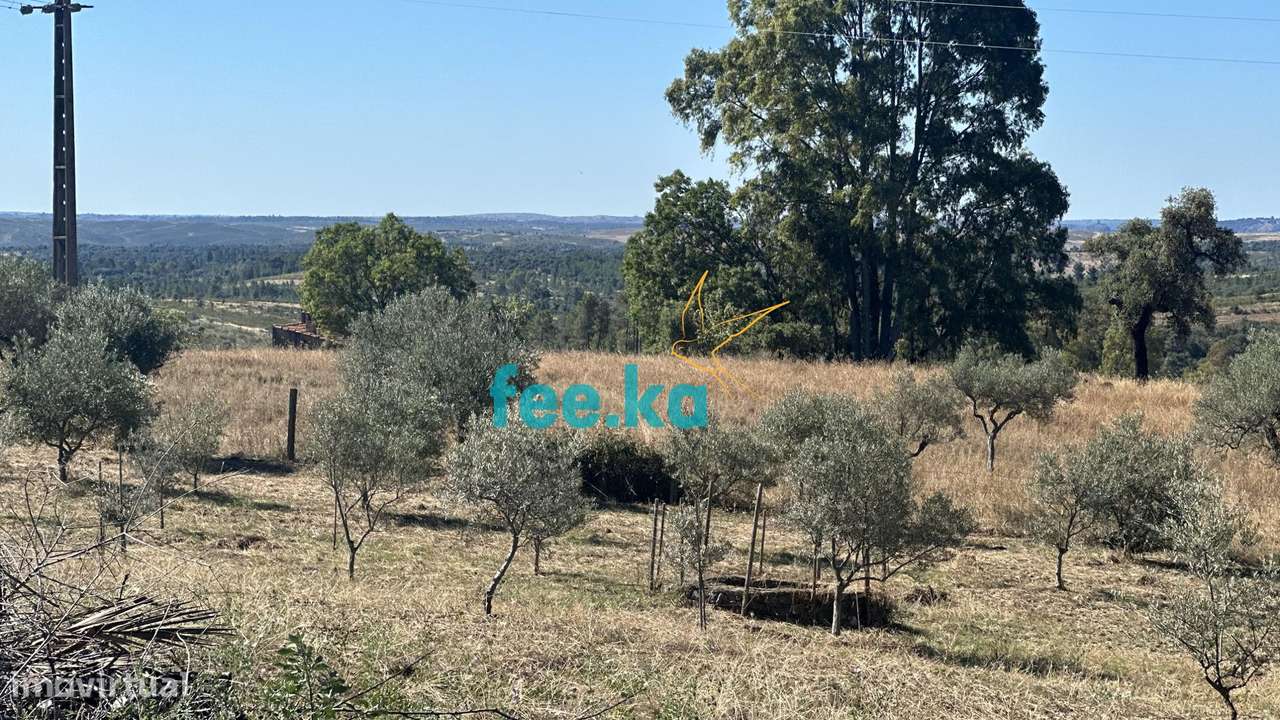 Quintinha em Monfortinho-15