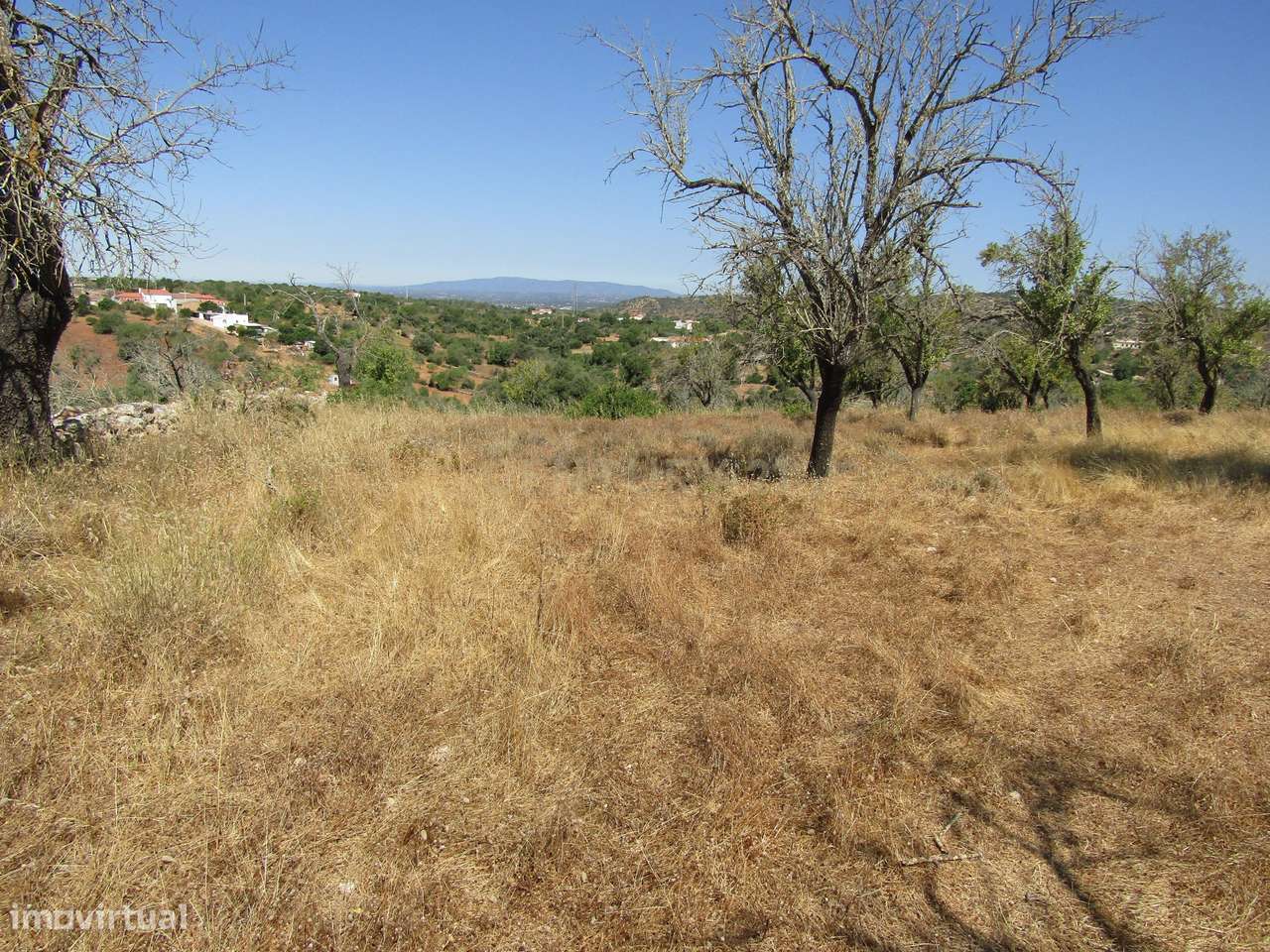 Terreno Rústico - Grande imagem: 2/11
