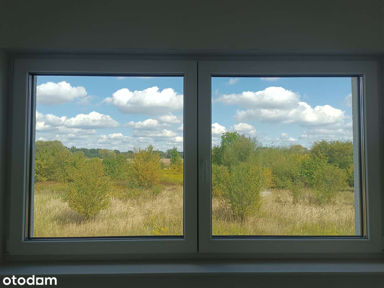 STARY SAD - Pełny obrazek: 5/8