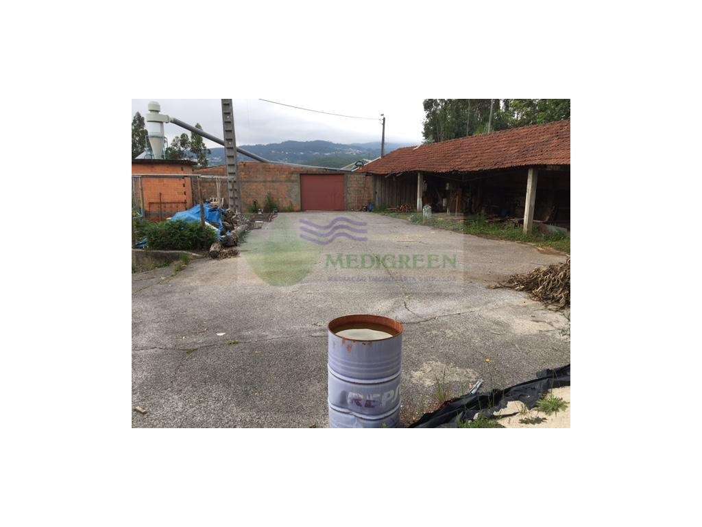 ARMAZÉM DE CARPINTARIA | AVIÁRIO EM CEDRIM - Grande imagem: 5/5