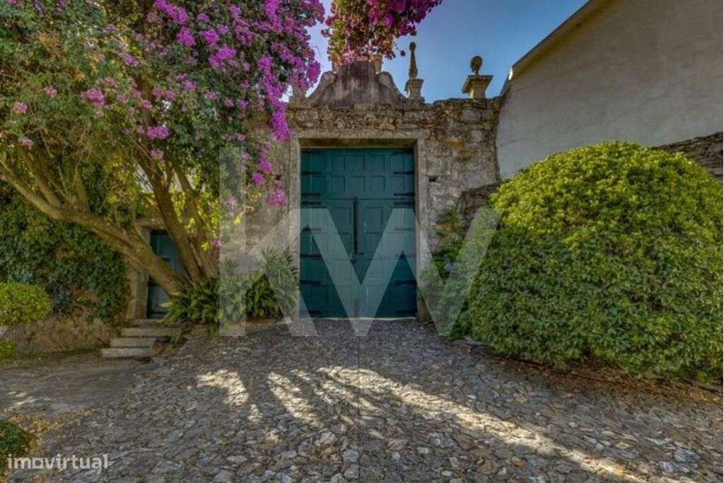 Excelente Quinta no Douro, casa com pedra de armas, fim do século XVII - Grande imagem: 3/54