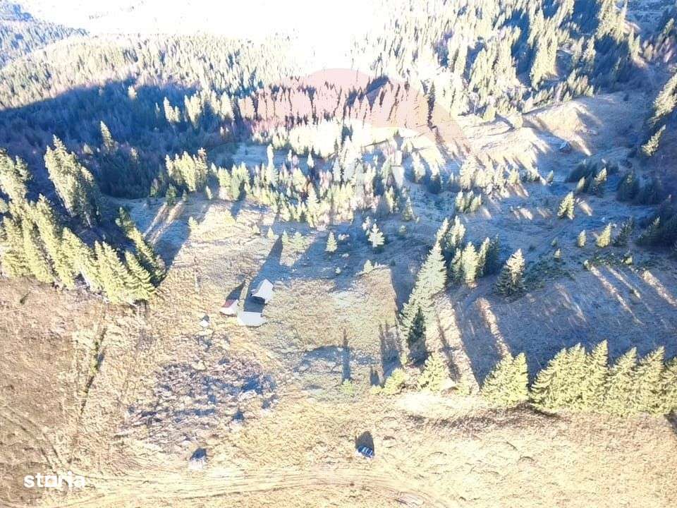 Teren 31,461mp Panaci / Prelungirea Ialovita-5