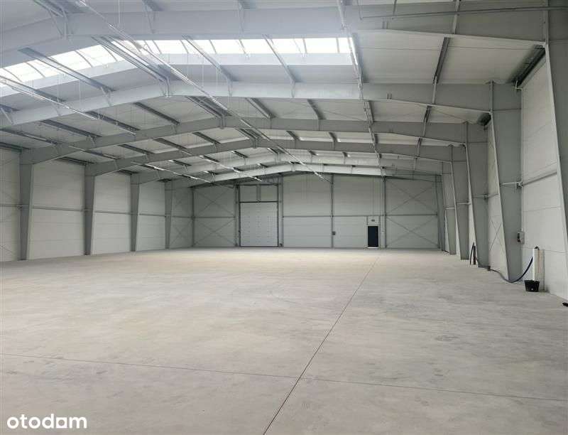 Magazyn - Miszewko Miszewko - Pełny obrazek: 4/11