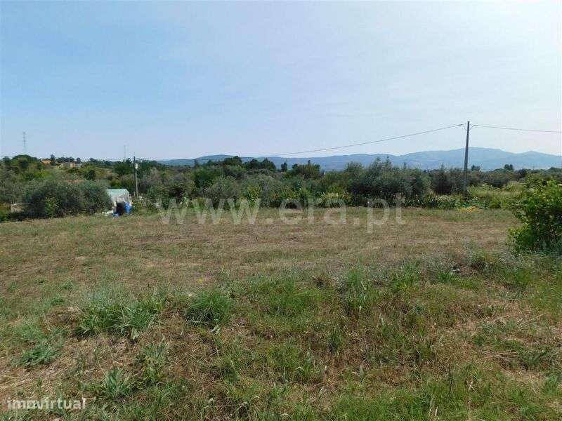 Terreno Rústico / Fundão, Pêro Viseu - Grande imagem: 2/7