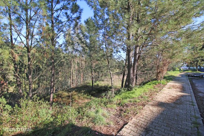 Lote de Terreno na Urbanização de Santa Luzia em Abrantes-15